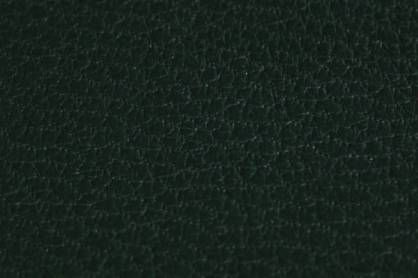 Buchbinder Ziegen Leder