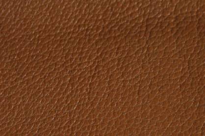 Buchbinder Ziegen Leder