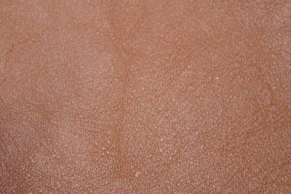 Rindpolsterleder Palermo