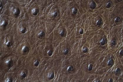 Staussenleder P Kalbleder