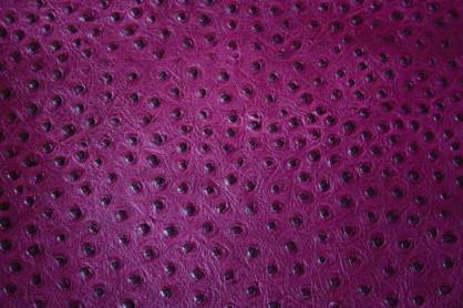 Staussenleder P Kalbleder