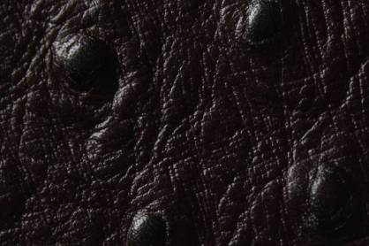 Staussenleder P Kalbleder