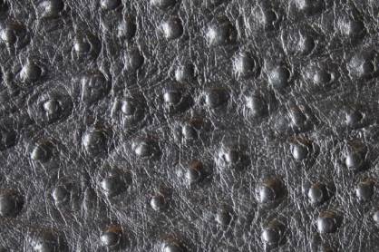 Staussenleder P Kalbleder