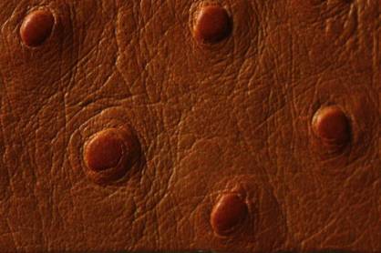 Staussenleder P Kalbleder