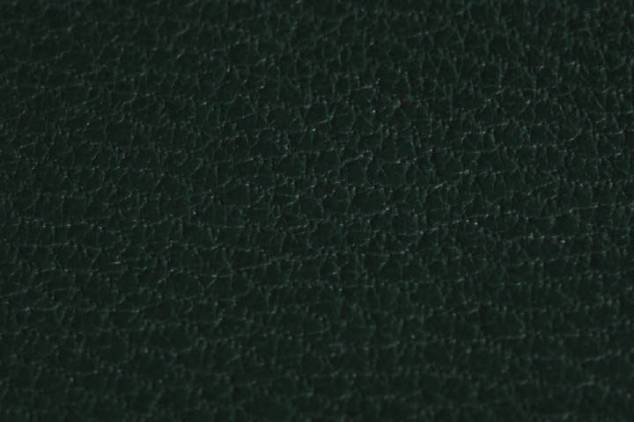 Buchbinder Ziegen Leder