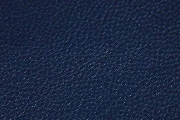 Buchbinder Ziegen Leder