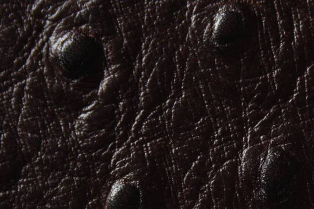 Staussenleder P Kalbleder