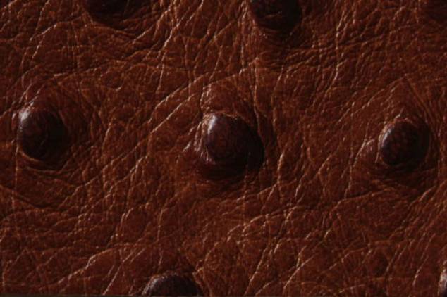 Staussenleder P Kalbleder