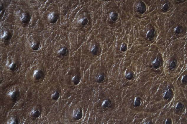 Staussenleder P Kalbleder