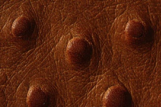 Staussenleder P Kalbleder