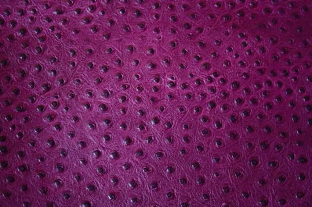 Staussenleder P Kalbleder