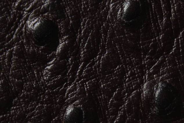 Staussenleder P Kalbleder