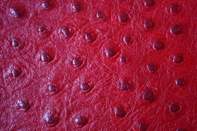 Staussenleder P Kalbleder