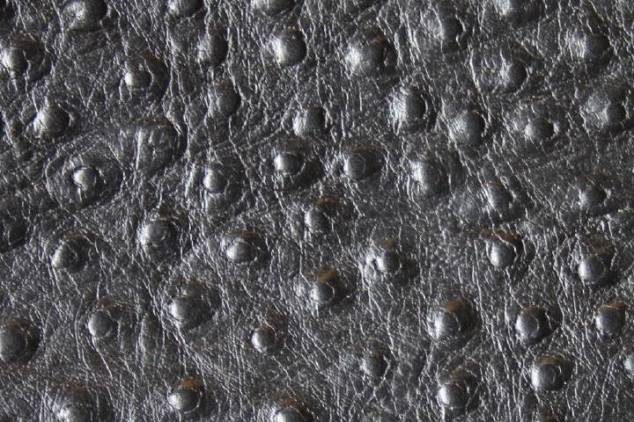 Staussenleder P Kalbleder