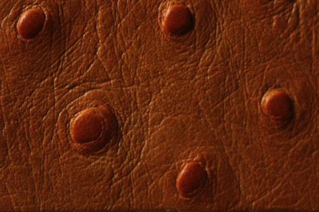 Staussenleder P Kalbleder